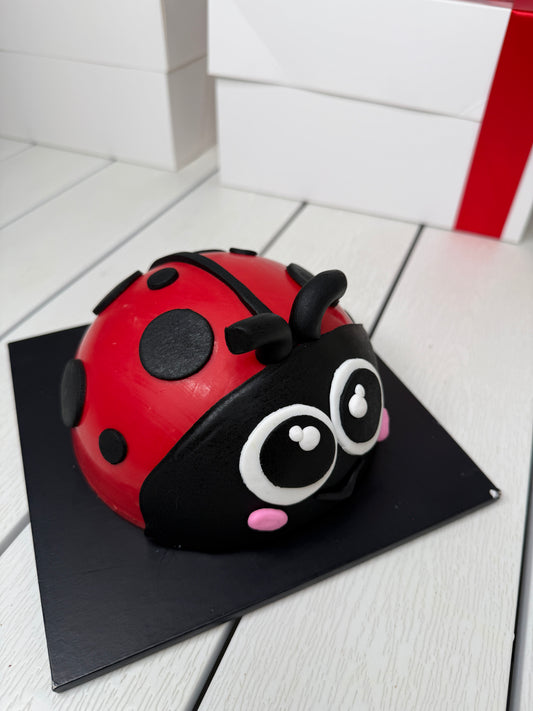 Lady Bug Smashcake